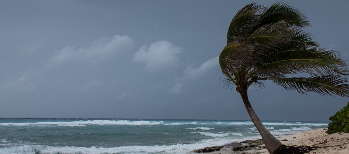 Moving to Bermuda